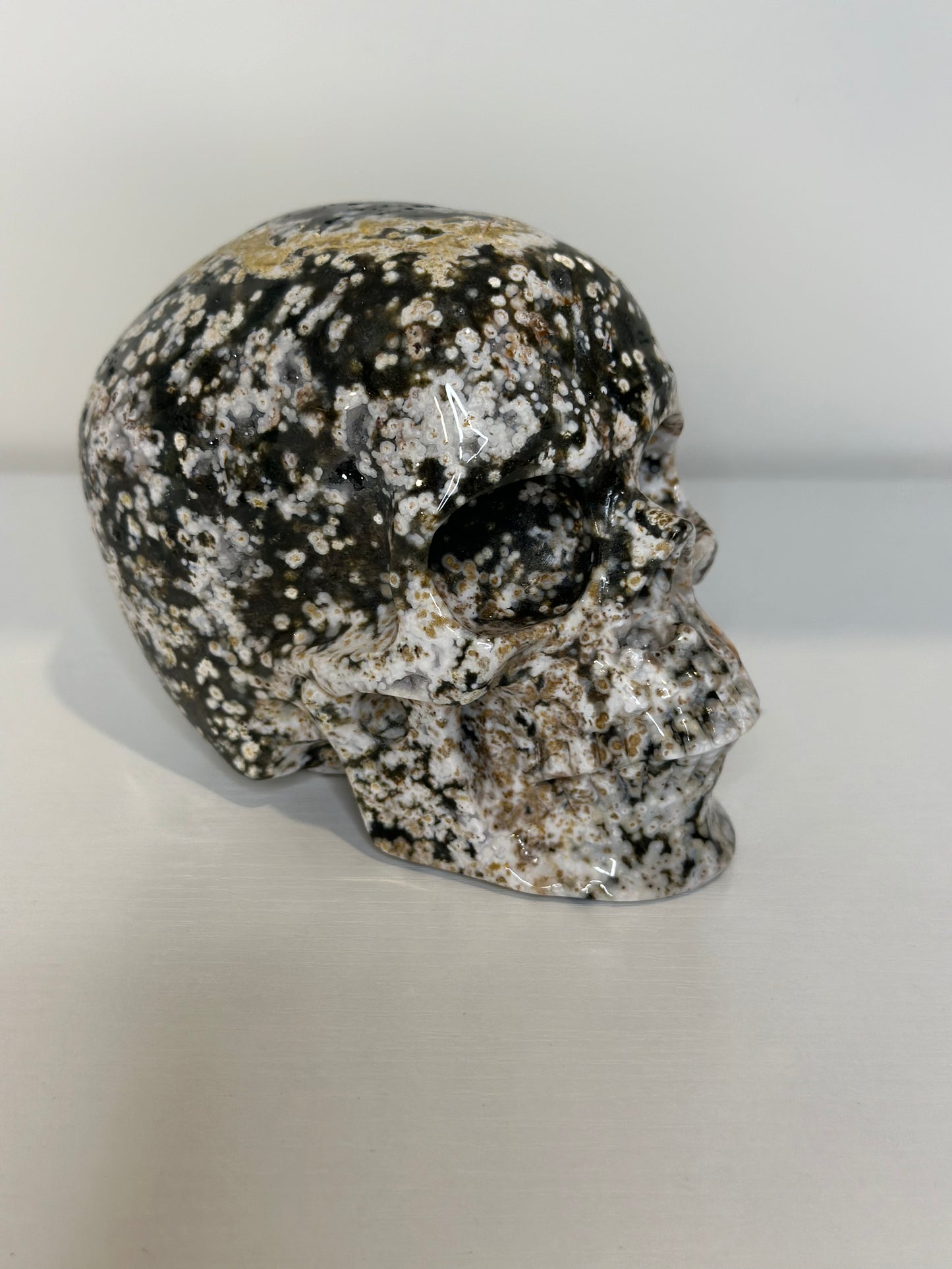 Exclusive Ocean Jasper Crystal Skull – 5" Carving