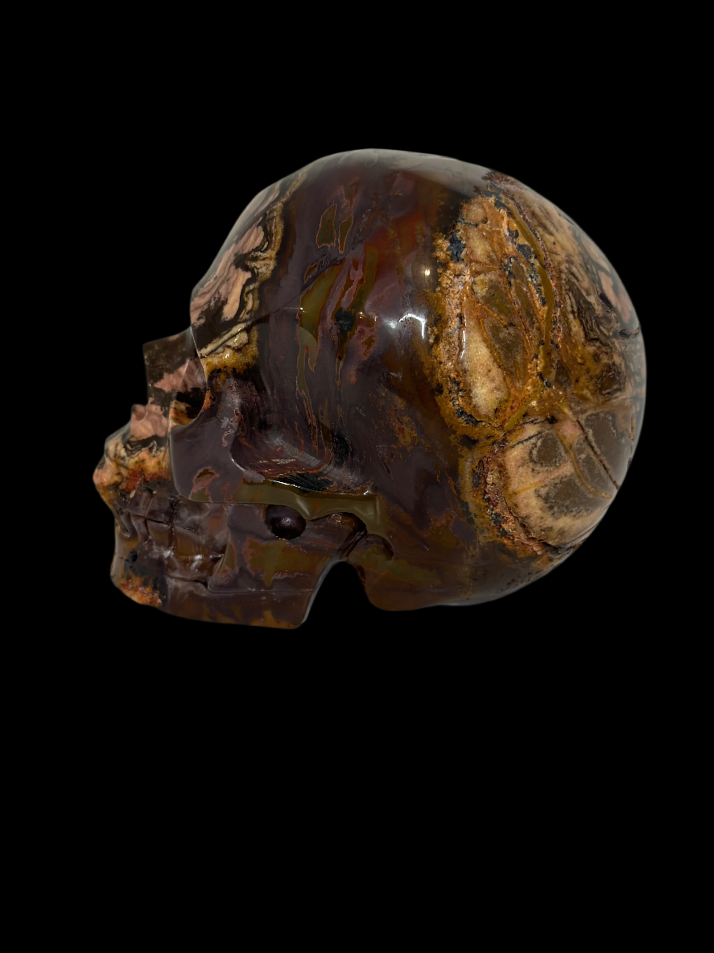 Hand-Carved Tiger's Eye Crystal Skull – 3.25 lbs | Artisan Gemstone Sculpture for Collector Display