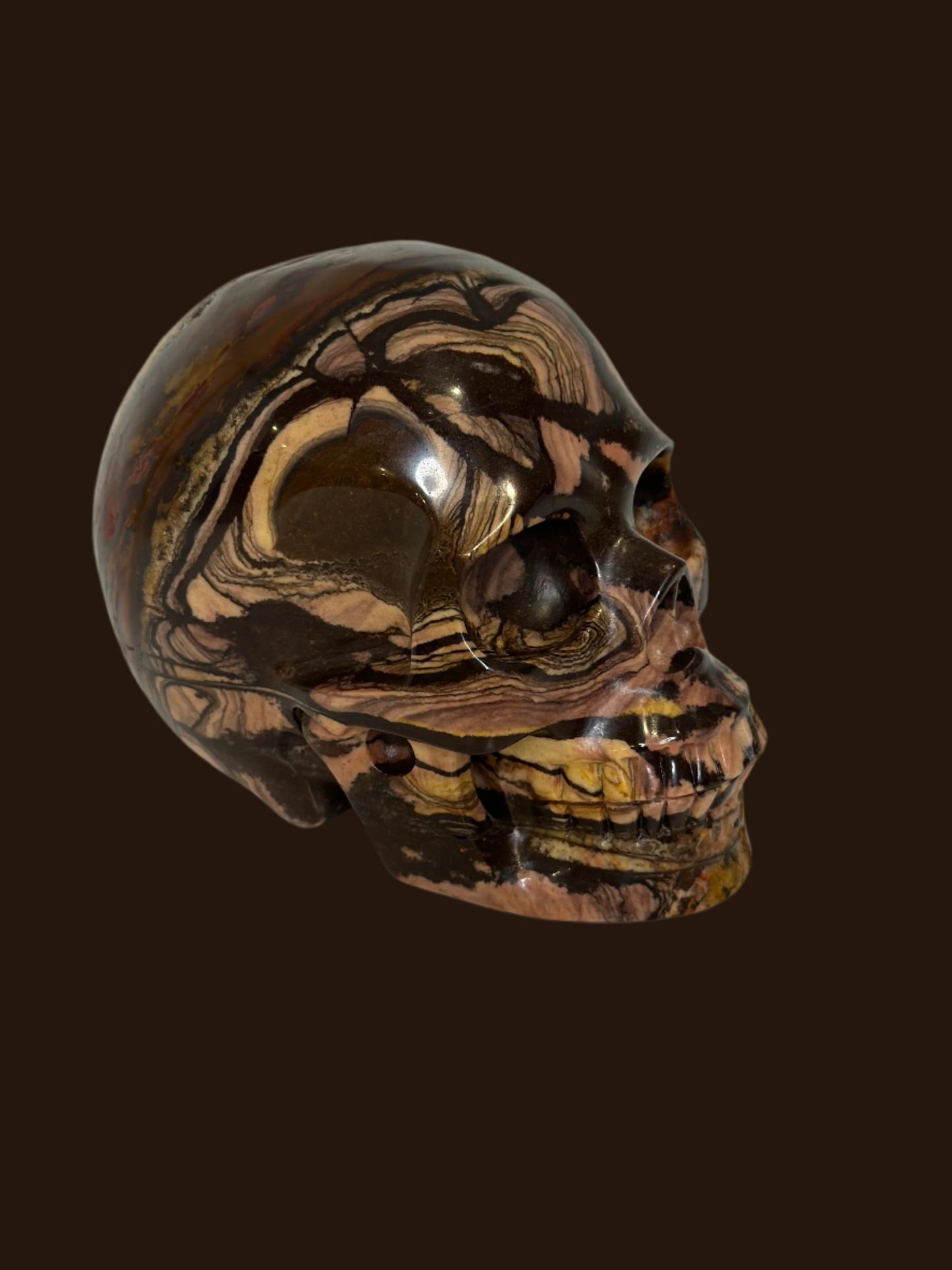 Hand-Carved Tiger's Eye Crystal Skull – 3.25 lbs | Artisan Gemstone Sculpture for Collector Display