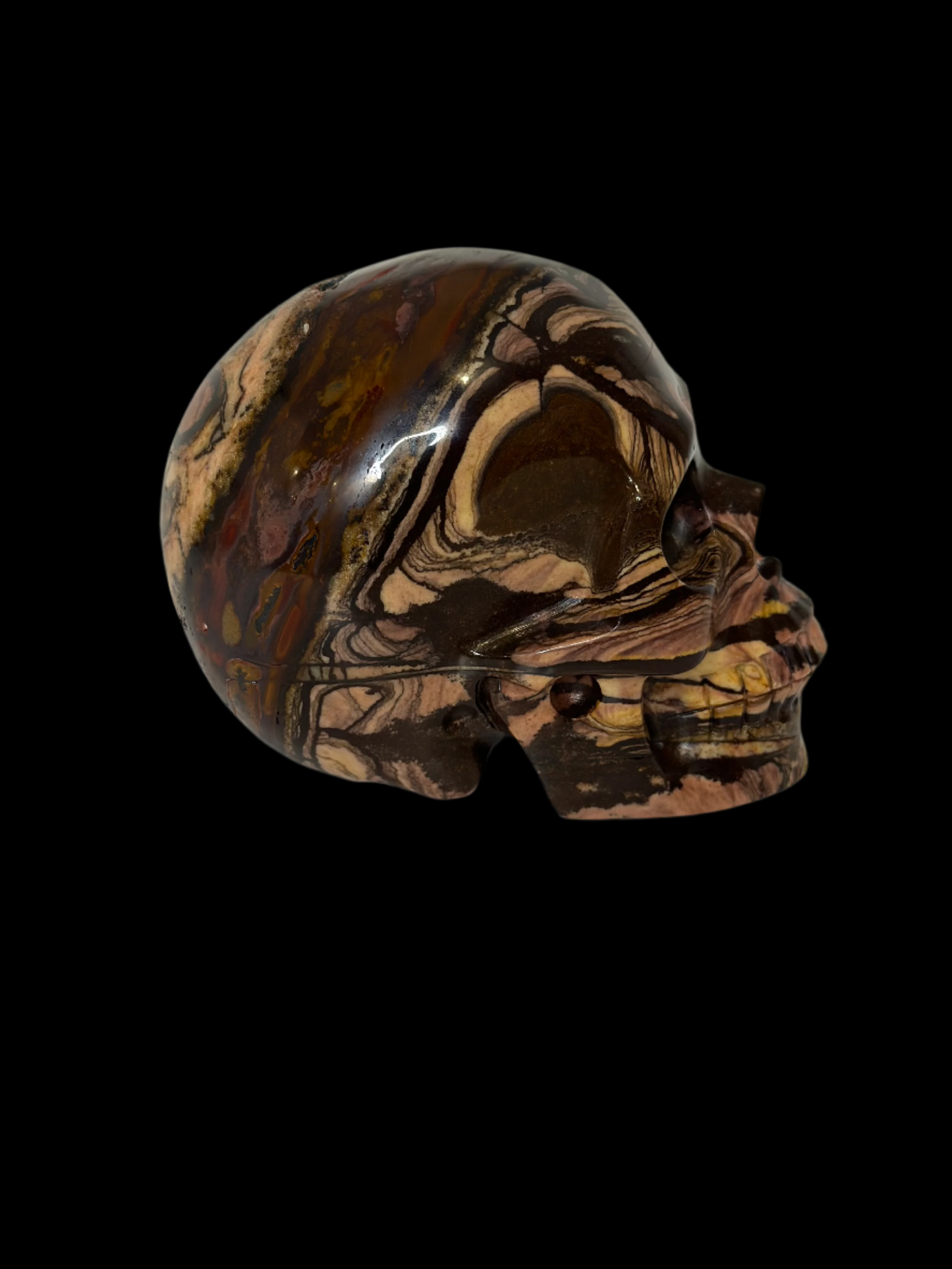 Hand-Carved Tiger's Eye Crystal Skull – 3.25 lbs | Artisan Gemstone Sculpture for Collector Display