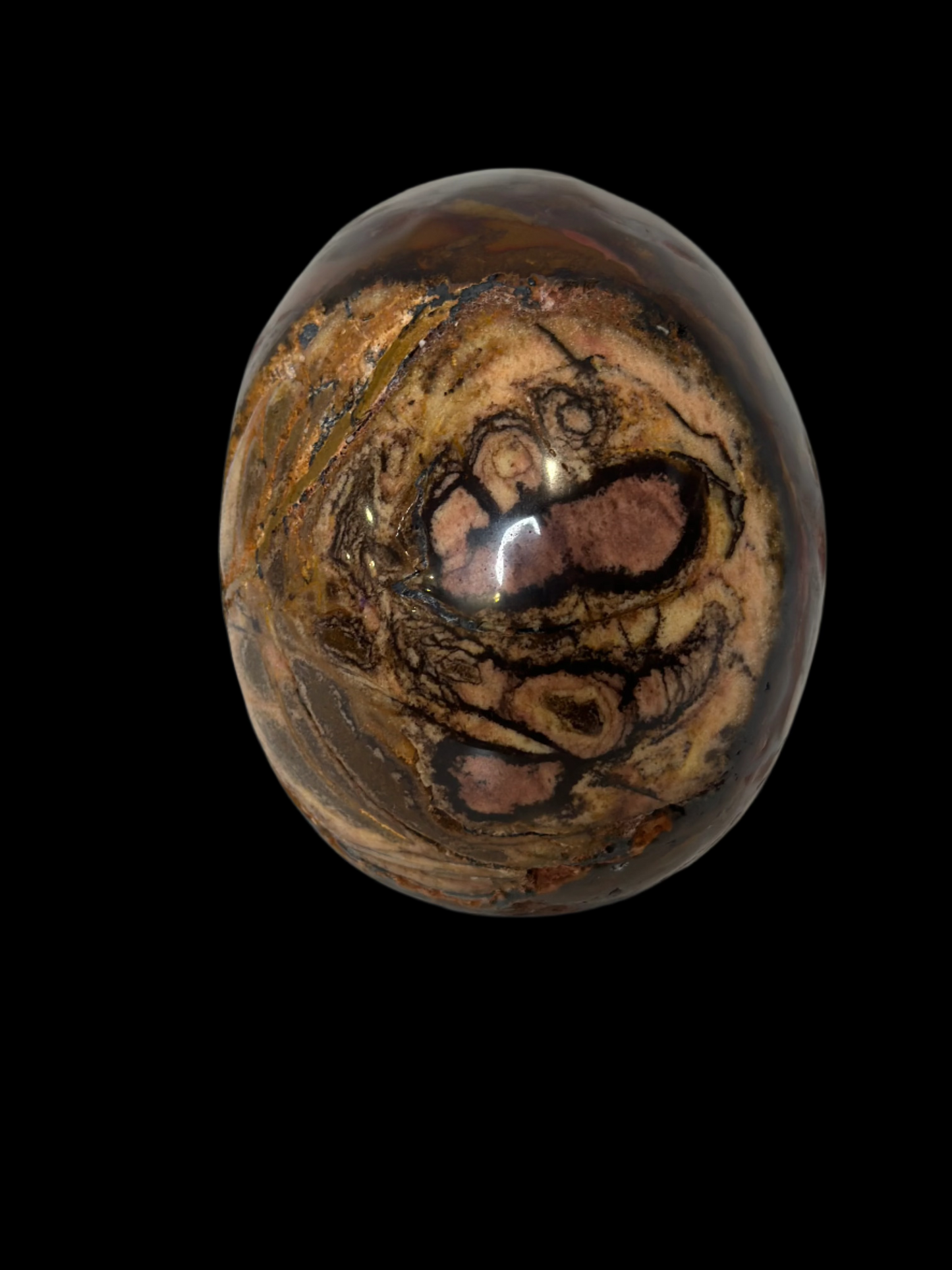 Hand-Carved Tiger's Eye Crystal Skull – 3.25 lbs | Artisan Gemstone Sculpture for Collector Display