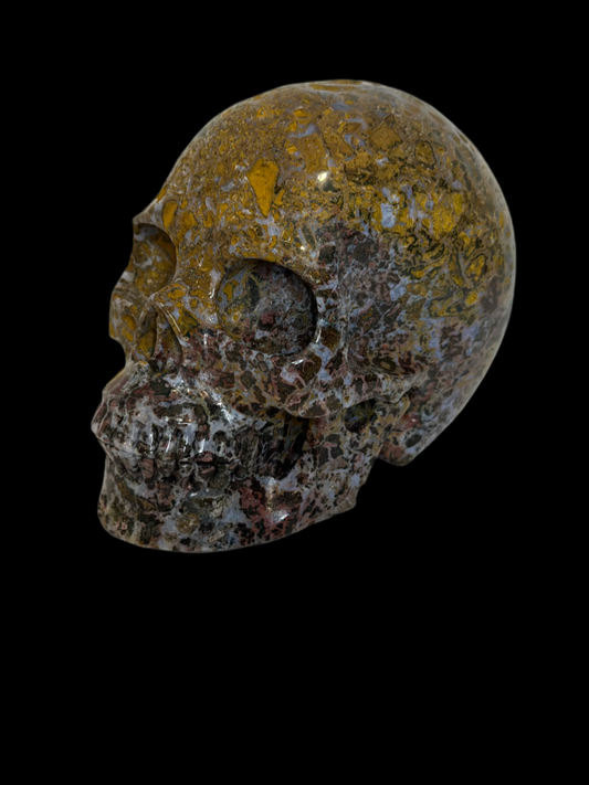 Exclusive Ocean Jasper Crystal Skull – 5" Carving